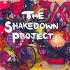 Shakedown Project